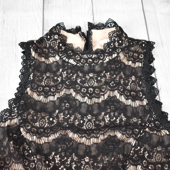 Whimsygoth Francesca Lace and Toole Sleeveless Full Skirt Semi Formal Dress - Picture 3 of 6